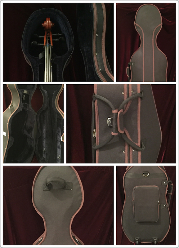 Cello Case model GVC-C-1