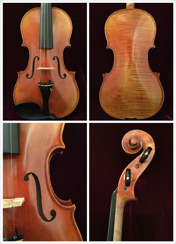 Violin model GV-5 1/4-4/4