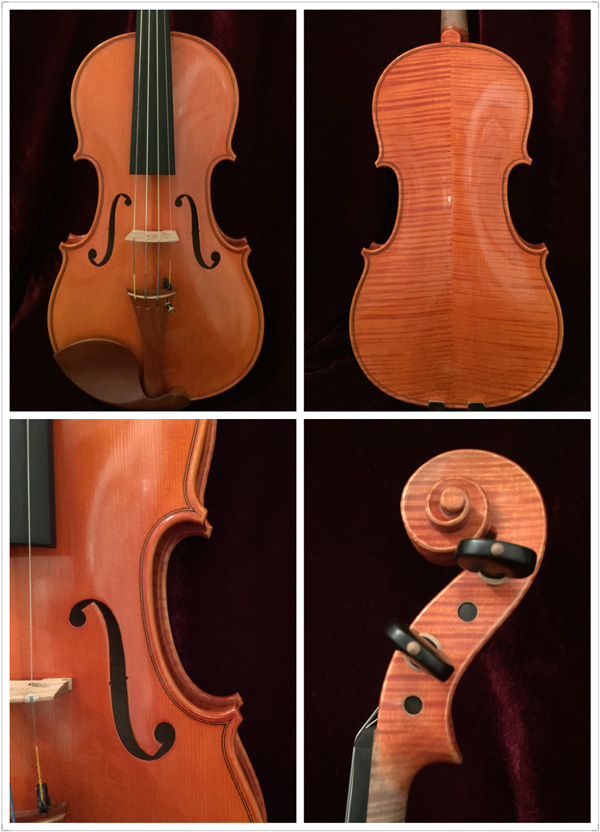 Violin model GV-6 1/4-4/4