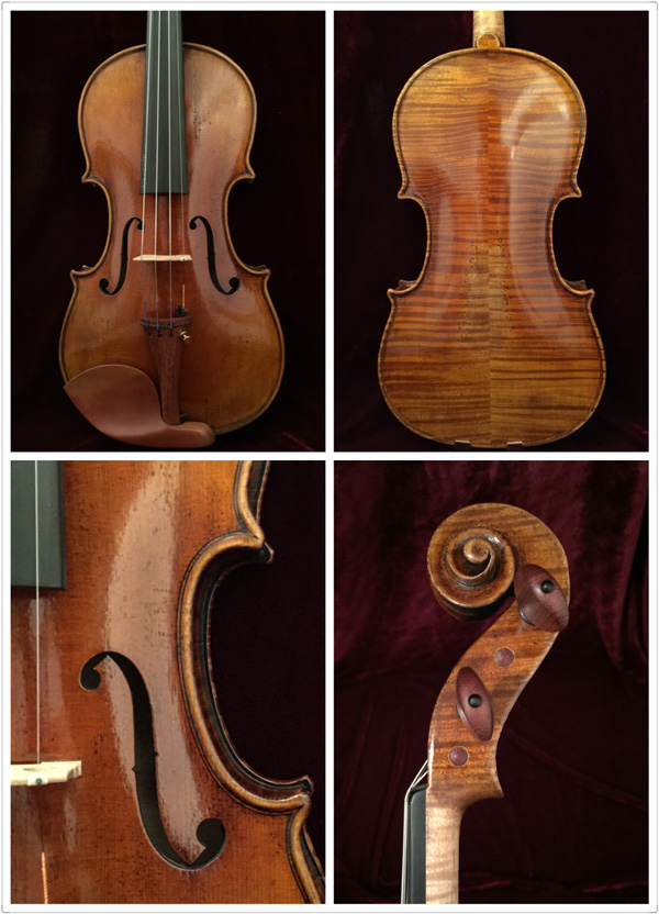 Violin model GV-8